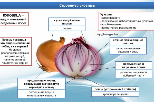 Как вернуть аккаунт кракен