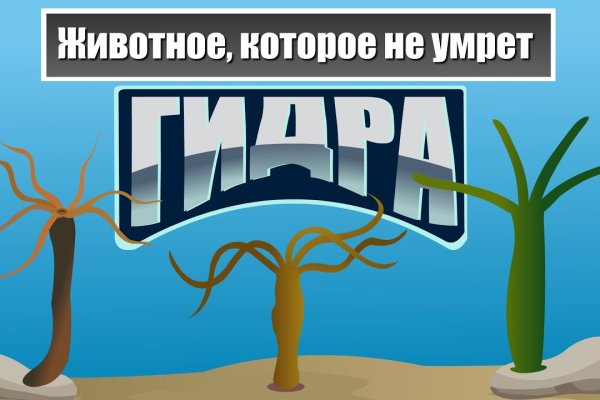 Kraken ссылки актуальные 2025 г