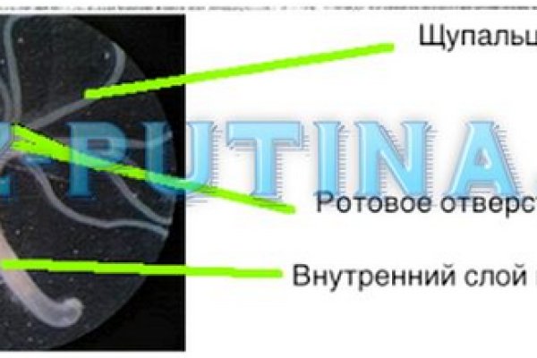 Кракен безопасный вход