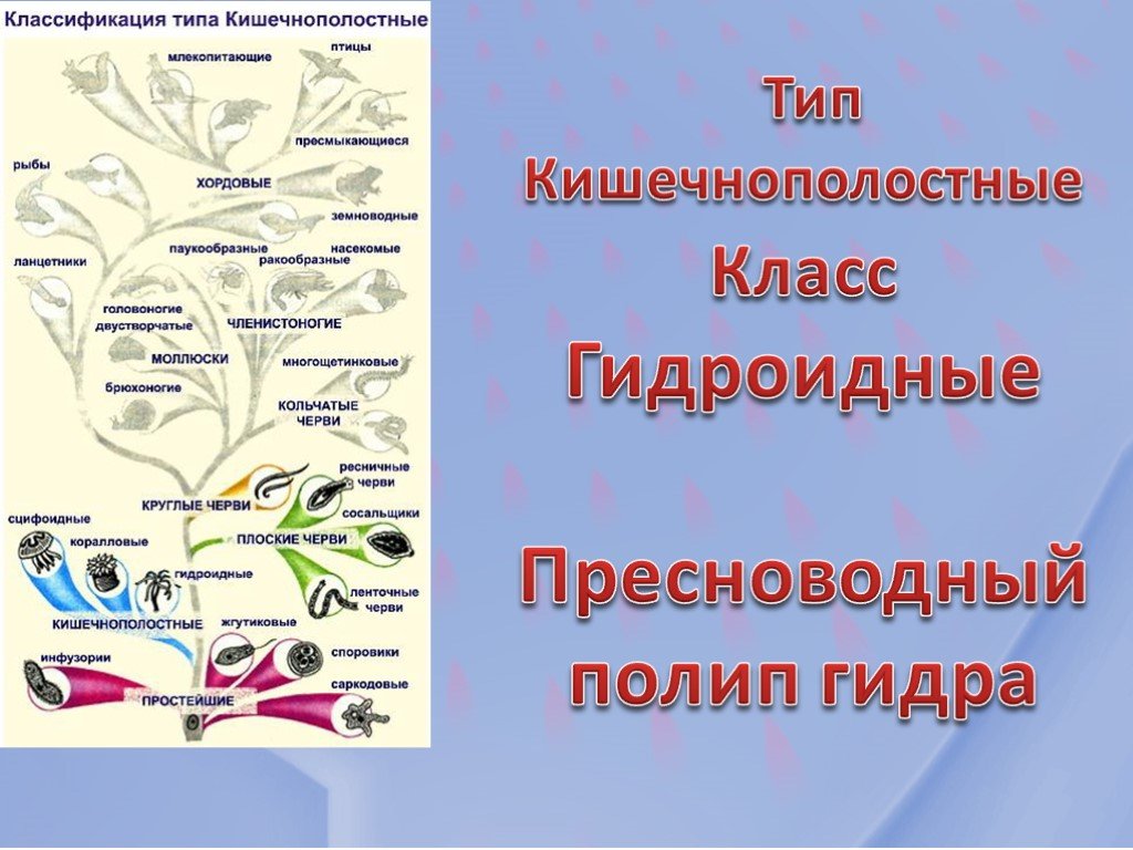 Как зарегистрироваться на кракене из россии