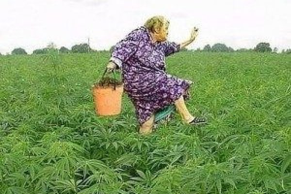 Кракен маркет что