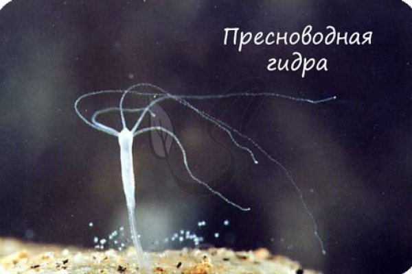 Кракен ссылка 2025