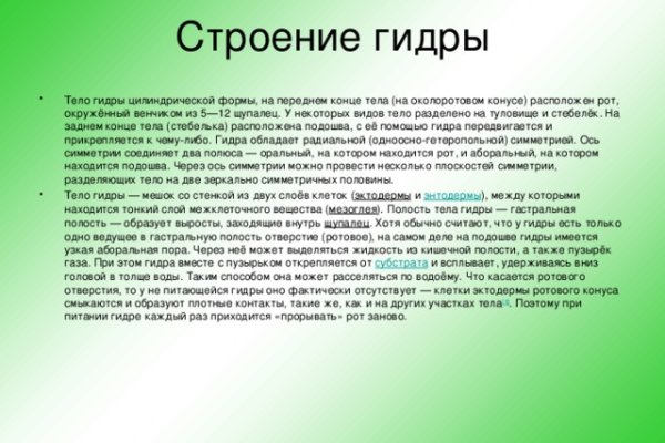 Кракен орг