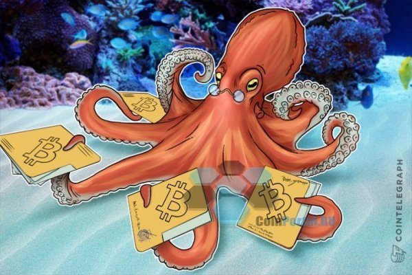 Kraken 24 top