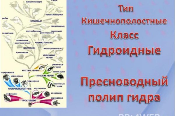 Список луковых tor сайтов