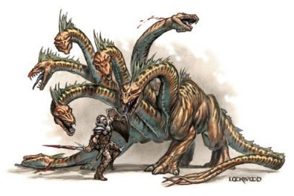 Kraken17 at