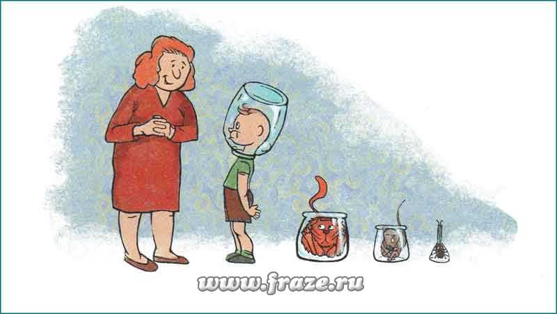 Кракен даркнет маркет